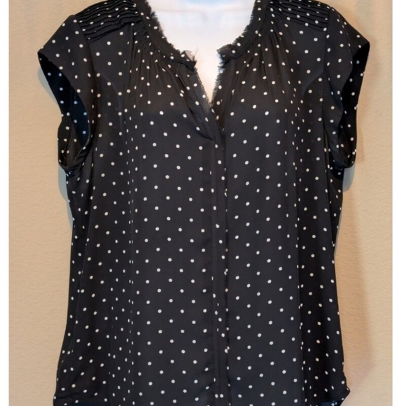 Daniel Rainn Tops - Daniel Rainn Women's Top